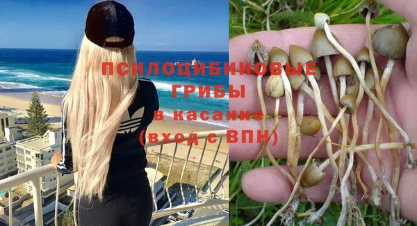индика Козловка