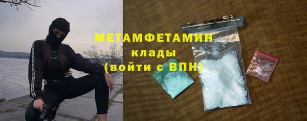 индика Козловка