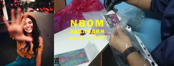 индика Козловка