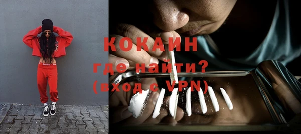 индика Козловка