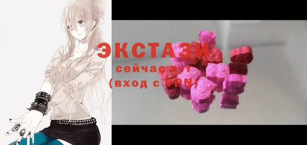 индика Козловка