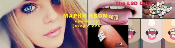 индика Козловка