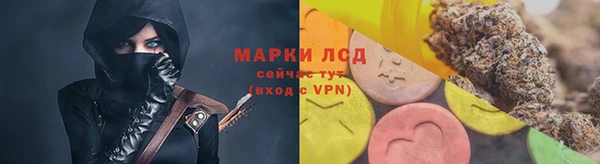 индика Козловка