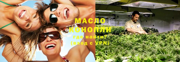 индика Козловка