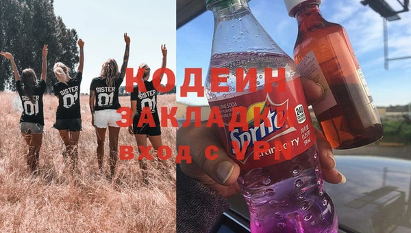 индика Козловка