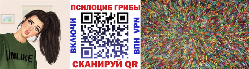 Купить  Кинешма  Псилоцибиновые грибы MAGIC MUSHROOMS 